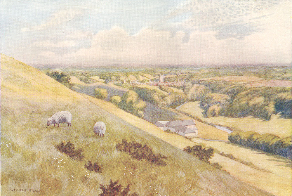 YORKS. Richmond from the West 1908 old antique vintage print picture